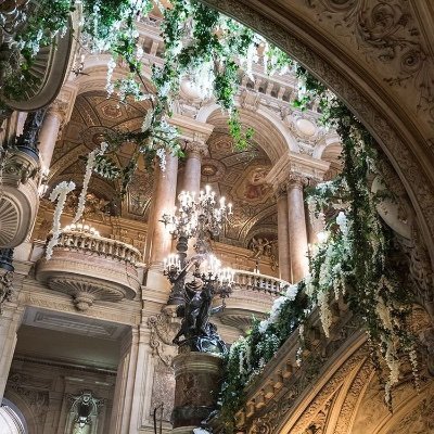 OlaOthman10's profile picture. 