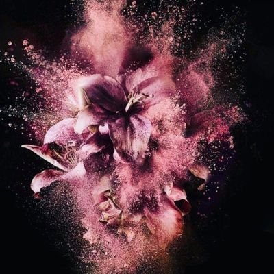 lyrics_khawatir's profile picture. (ظنك سيء 👌🏼لإنك السوء بذاته)❌٢٠١٩              

(ظنك سيئا لأنك السوء بذاته)👌🏼٢٠٢١  
أرټب بعض الـحروف✍️والبعض الآخر يسبقني إليهاأهل علم البديع🕓