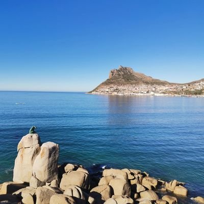 #DiscoverHoutBay
A place where nature, culture & heritage meets, surrounded by mountains & a beautiful bay.