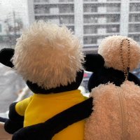 もも (@rldva24jkdg4lu7) 's Twitter Profile