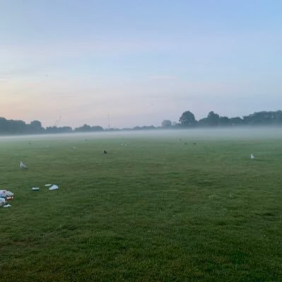 zwanzig20's profile picture. 