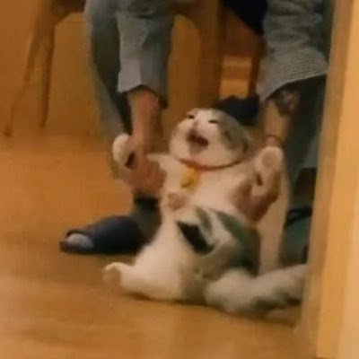 nimu_rol's profile picture. Boluda