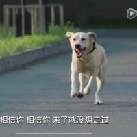 快快6/22 中検準1級受験 (@kuaikuaihanyu) 's Twitter Profile