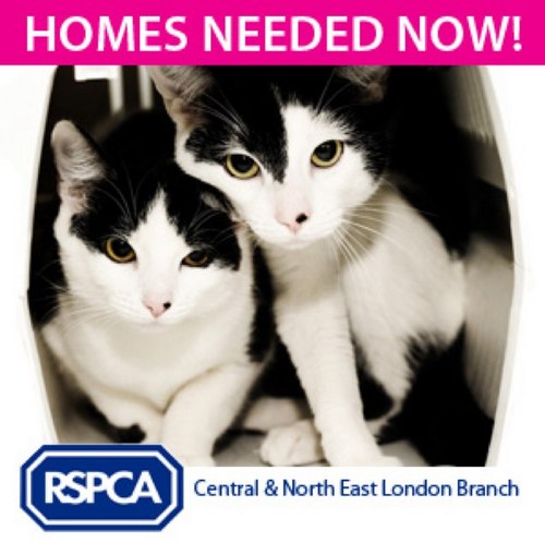 Tweets from the RSPCA Central and NE London branch. Follow us for all branch news. Call National RSPCA on 0300 1234 999 for animal emergencies.