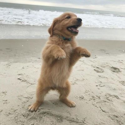 STEPHENOSAGIE4's profile picture. Frontend Developer. 23.
WordPress
UI/UX Designer.
Freelancer at https://t.co/qERILDuAlm @ Hybryddev
Will be documenting my web development journey