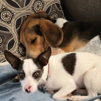 LisaMarie416 (@lisalee416) 's Twitter Profile