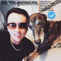 Manny the Greyhound(@MannyTheGrey) 's Twitter Profile Photo