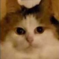 captainhowdie(@captain_howdie) 's Twitter Profile Photo captainhowdie(@captain_howdie) 's Twitter Profile Photo