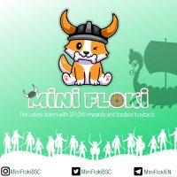 Mini Floki #FlokiSwap (@miniflokibsc) 's Twitter Profile