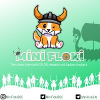 Mini Floki #FlokiSwap(@MiniFlokiBSC) 's Twitter Profile Photo