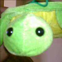 PUGJAM's profile picture. 