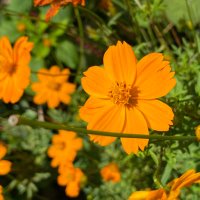 昼寝 《𝚑𝚒𝚛𝚞𝚗𝚎》 (@hirunesurumon) 's Twitter Profile Photo