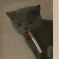 Floogon (@archgoon) 's Twitter Profile