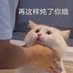 王朝阳 (@wangchaoyan) Twitter profile photo 王朝阳 (@wangchaoyan) Twitter profile photo