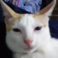 Jesús esmero (@jesuses94466607) 's Twitter Profile