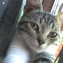 olga vidal - @olgavidal23 - Twitter