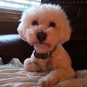 Teddy Stark - @StarkTeddy - Twitter