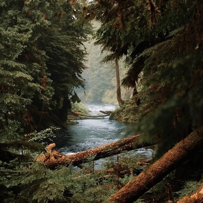 Taylor59523771's profile picture. I love to sing and I love dogs