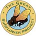 GreatSunflowerProject (@gr8sunflower) Twitter profile photo