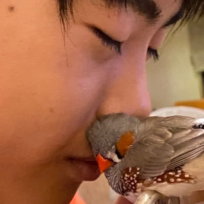 goldenhoshi11's profile picture. 