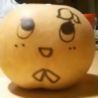 こともも♪ (@kotomomonaomiki) 's Twitter Profile Photo