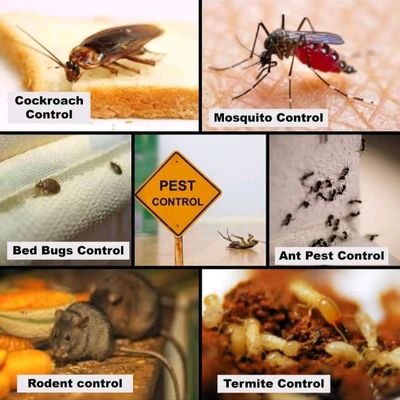 We offer the most effective and guaranteed fumigation services at an affordable price, for bookings call 0769545458 and we promise nothing but the best services