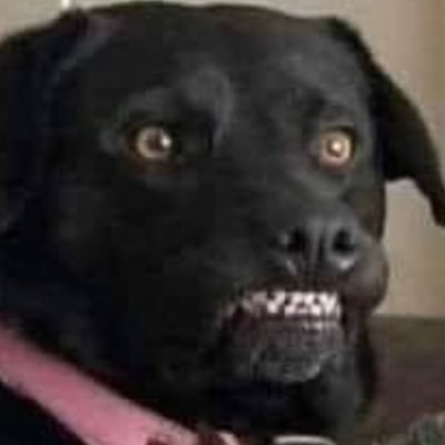 Jorge_bazam's profile picture. I weld stuff