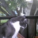 Robert Register - @BobbyGR - Twitter