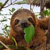 Rosekb5's profile picture. i love kpop to death !!!❤️🇰🇷