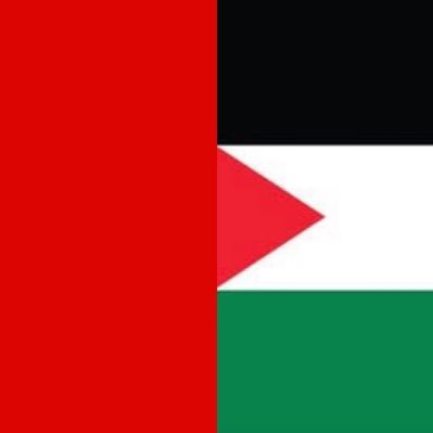 rnazzzz's profile picture. I know that I know nothing!!