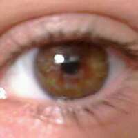 vallove's profile picture. I love cookies!!!