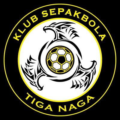 Akun resmi Klub Sepakbola Tiga Naga | Liga 2 Indonesia | Pekanbaru, Riau 🇮🇩 #LaskarLancangKuning #AyoRiau