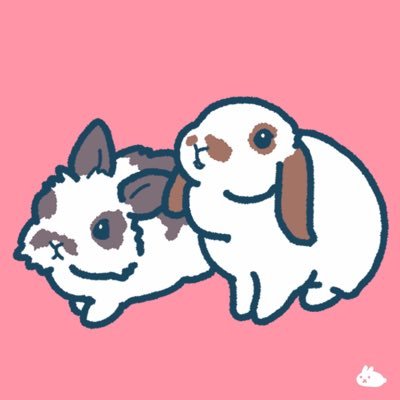 長毛の三毛猫🐈の女の子のシフォンです。2019.5生まれ→2019.9.5保護主様→2020.12.27ゎみ家に来ました✦ฺ︎うさぎ垢@waminenko(←乗っ取られました⚠️)🐰無言フォローすみません🥺キャンプデビュー2022.4.23🏕DOD推し🐰