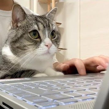 anyone11th's profile picture. re 2020 07 12~  min-soo 金民秀    시사news 리트윗情報데이터https://t.co/FVPy7uSPs1            野球実況　important data系 hayashibaramegu 101.3MHz LIVE  　　크모닝 2025