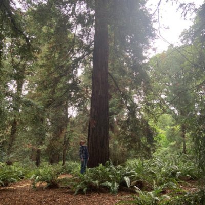 SamMcNeilly3's profile picture. @Technedtp PhD Student @UniOfSurrey. Energy Humanities, 19-20C American Lit, Naturalism, Fossil Fuels, Environment
