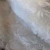 jmm_mmmm's profile picture. 🍑🍑