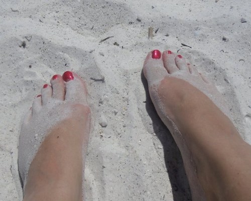 AmyGower's profile picture. 