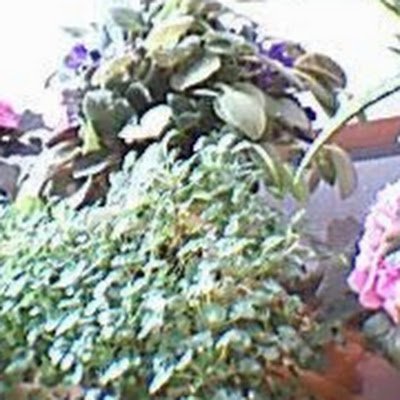 Grbz14Gurbuz's profile picture.