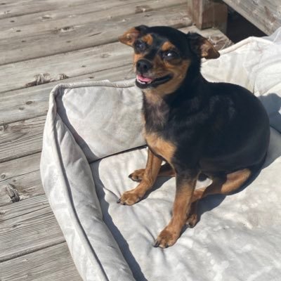 Jocas2323's profile picture. Just seeking truth!!