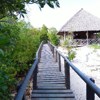 We are an ecotourism CBO with a beautiful boardwalk in the mangroves of Gazi Bay.