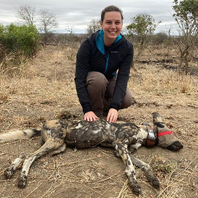 PhD student @ Stellenbosch University, interested in social mammal movement behavior and carnivore conservation 🐺🐕🐒