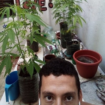 Engenheiro agrônomo, Brasileiro, Nordestino, Potiguar, em busca de um Brasil melhor, a favor da regulamentação da maconha no BR, Reforma política e agrária Já!