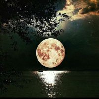 الهنوف مرزوق المطيري (@hanoof2019) 's Twitter Profile