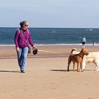 Karen Goss (@gossgeekgirl) 's Twitter Profile Photo