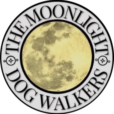 Making the sleaziest Rock ‘n’ Roll since 2019. 4 man bad from Kent. Watch this space! 🐕 @ The Moonlight Dog Walkers on Facebook, Instagram & YouTube.