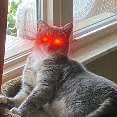 Bad_Boy_Necco's profile picture. i do all my shit talking from the perch bruh