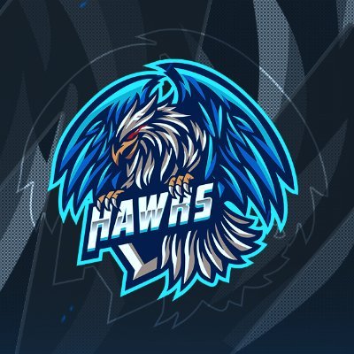 Hawks eSports Profile
