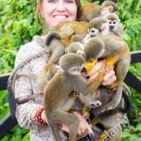 Sky Monkey (@skymonkey25) 's Twitter Profile Photo Sky Monkey (@skymonkey25) 's Twitter Profile Photo
