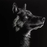Llop61 (@lloan61) 's Twitter Profile