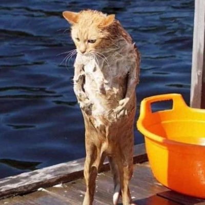 KEE34637's profile picture. 